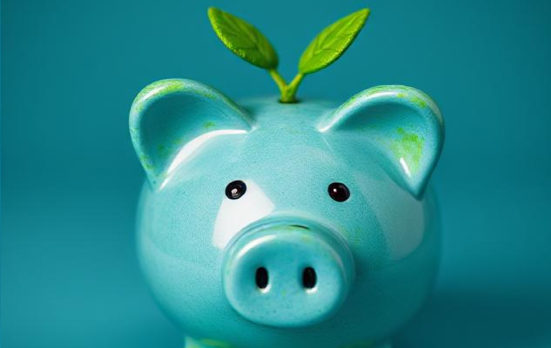 Piggybank